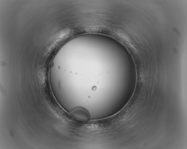 X0000090920687200708061543