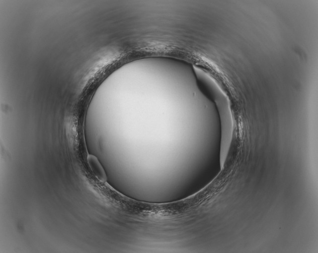 X0000090920688200708061543