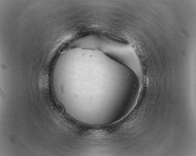 X0000090920689200708061543