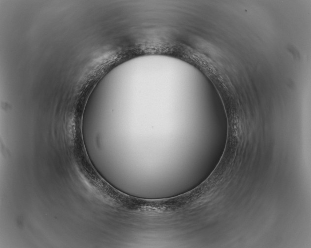 X0000090920690200708061543