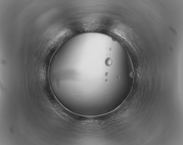 X0000090920691200708061543