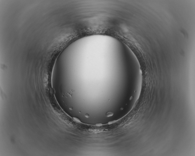 X0000090920693200708061543