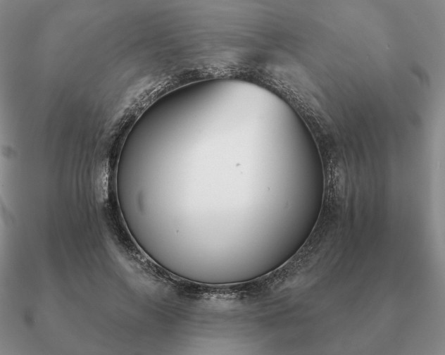 X0000090920694200708061543