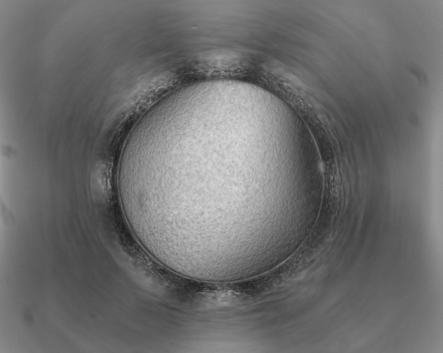 X0000090920695200708061543