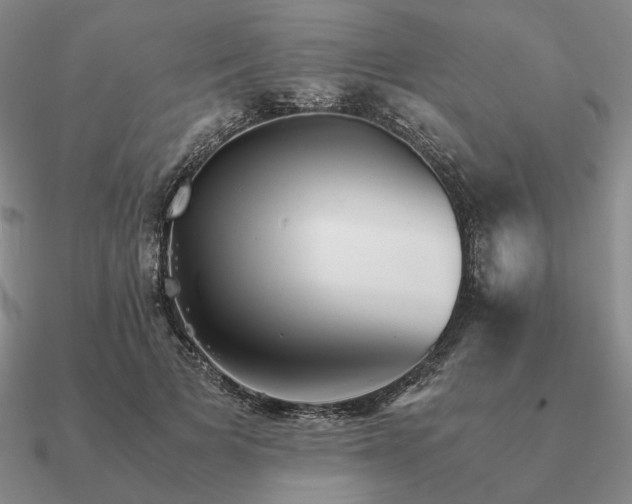 X0000090920697200708061543