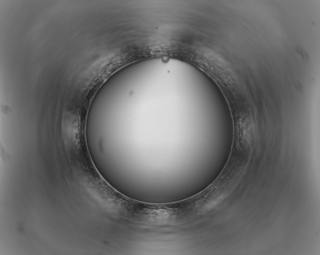 X0000090920698200708061543