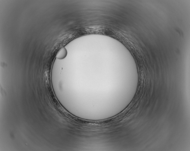 X0000090920699200708061543