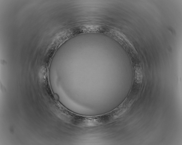 X0000090920701200708061543