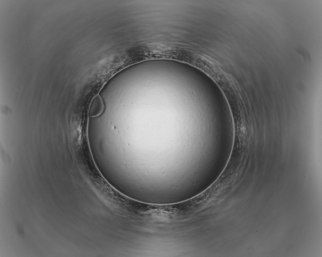 X0000090920703200708061543