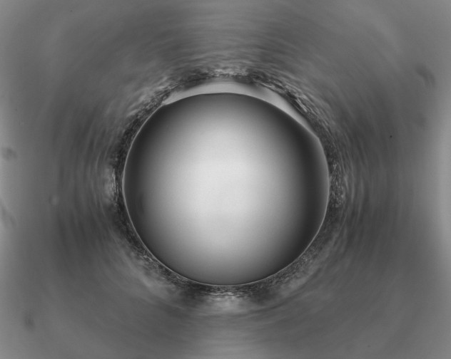 X0000090920704200708061543