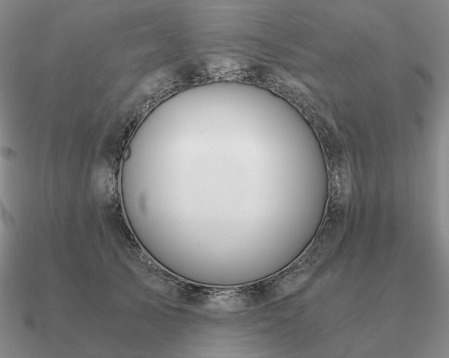 X0000090920705200708061543