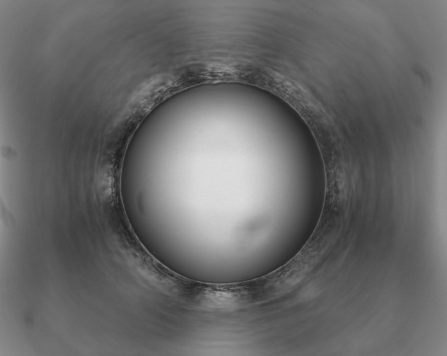 X0000090920706200708061543