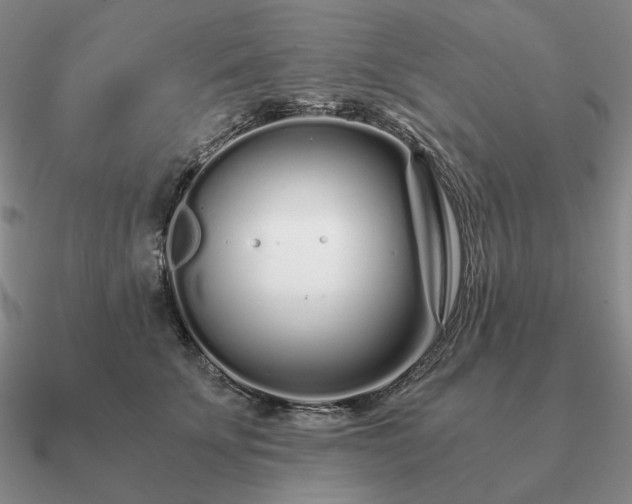 X0000090920707200708061543