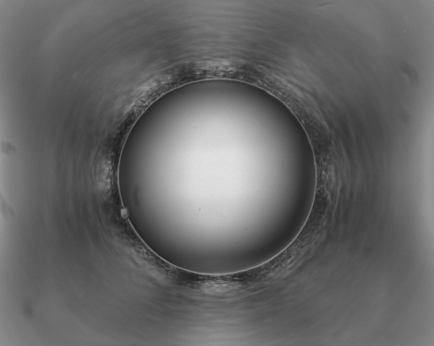 X0000090920708200708061543