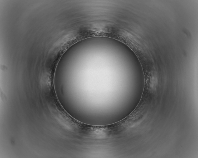 X0000090920710200708061543