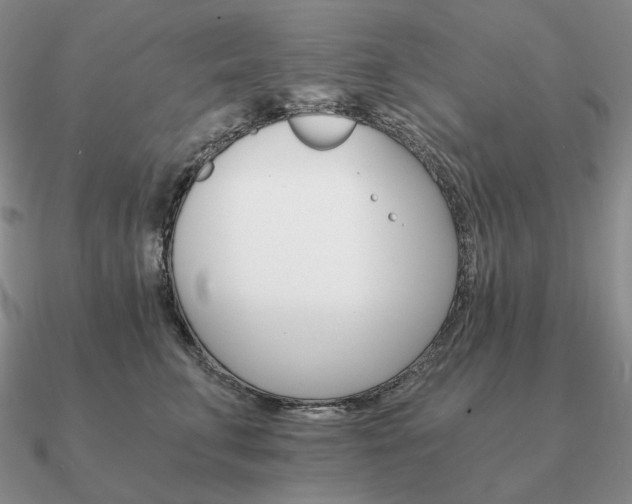 X0000090920711200708061543