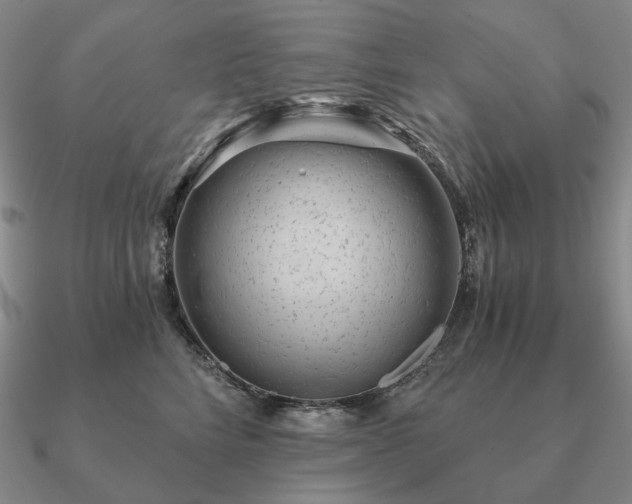 X0000090920712200708061543