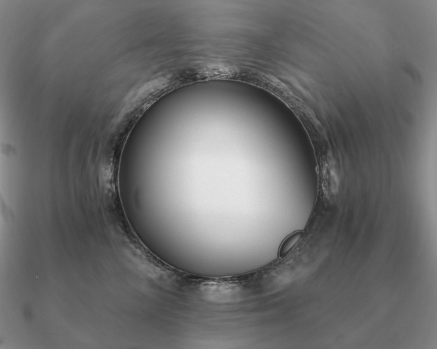 X0000090920714200708061543