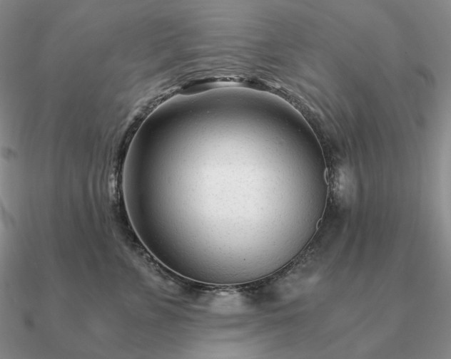 X0000090920715200708061543