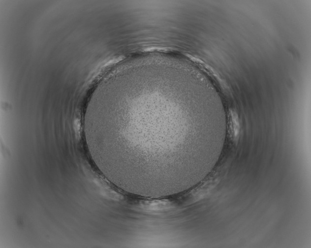 X0000090920716200708061543