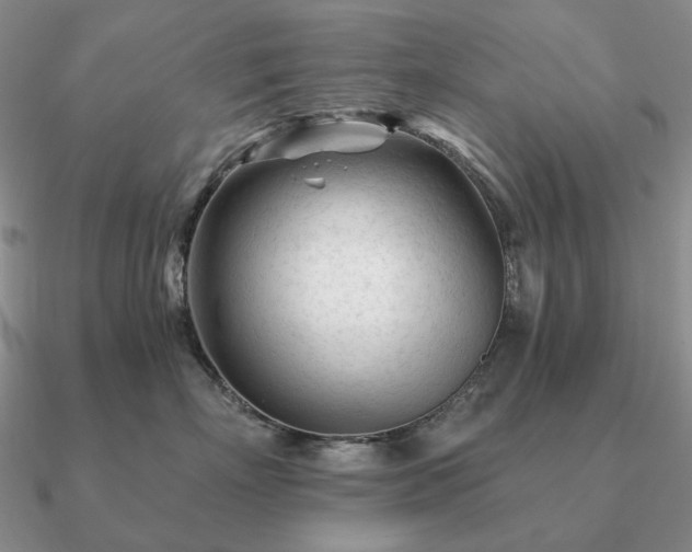 X0000090920718200708061543