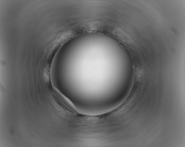 X0000090920719200708061543