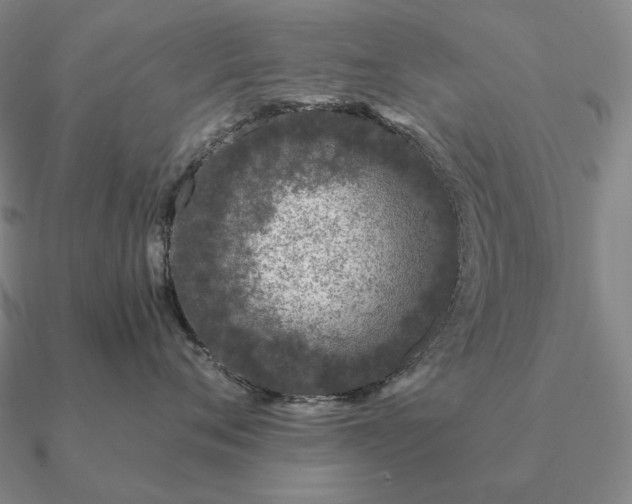 X0000090920720200708061543