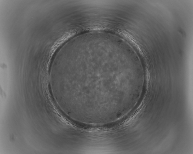 X0000090920721200708061542