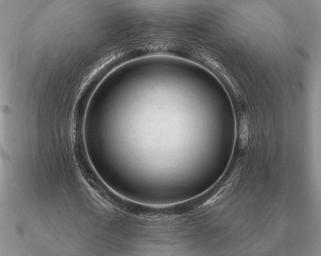 X0000090920722200708061542