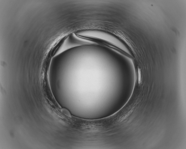 X0000090920723200708061542