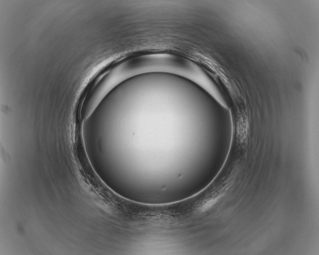 X0000090920724200708061542