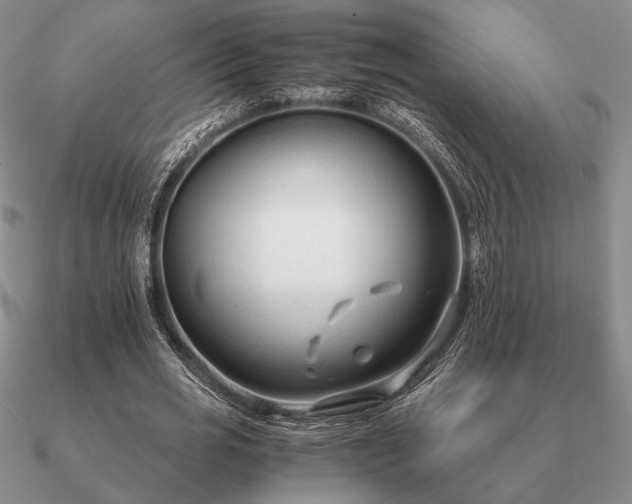 X0000090920725200708061542