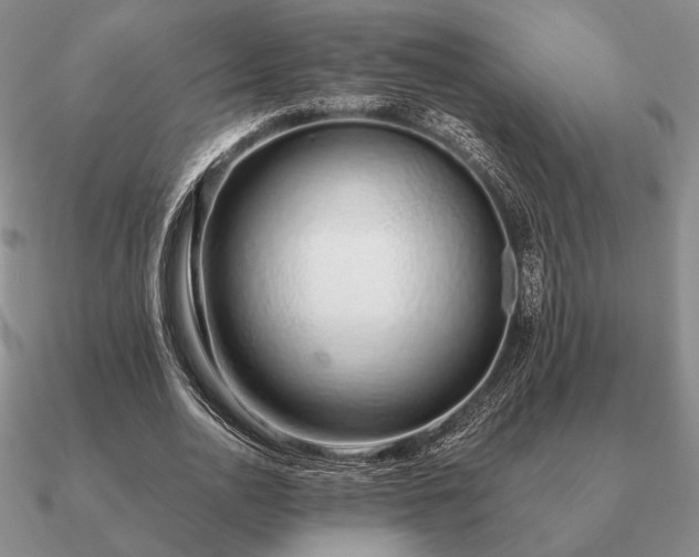 X0000090920726200708061542