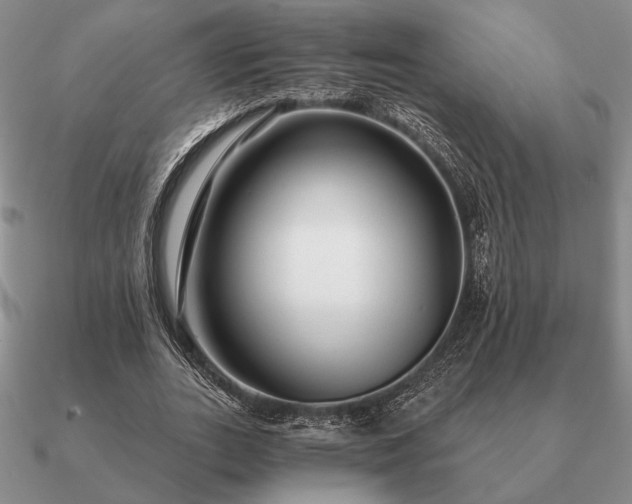 X0000090920727200708061542