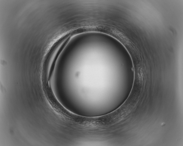 X0000090920728200708061542