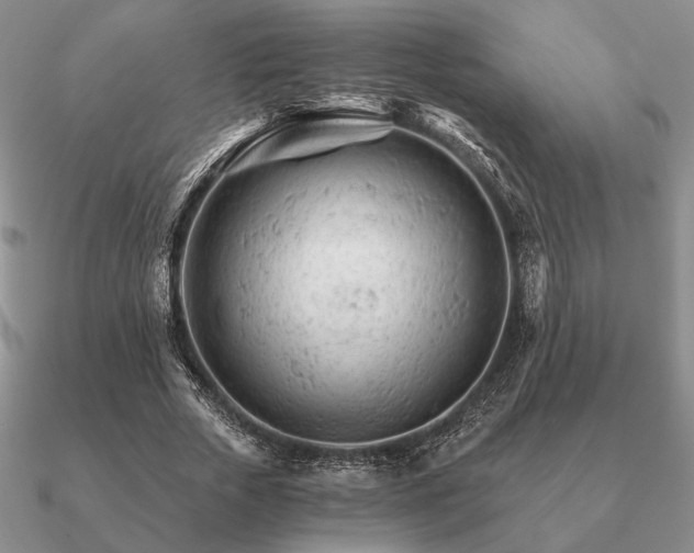 X0000090920729200708061542