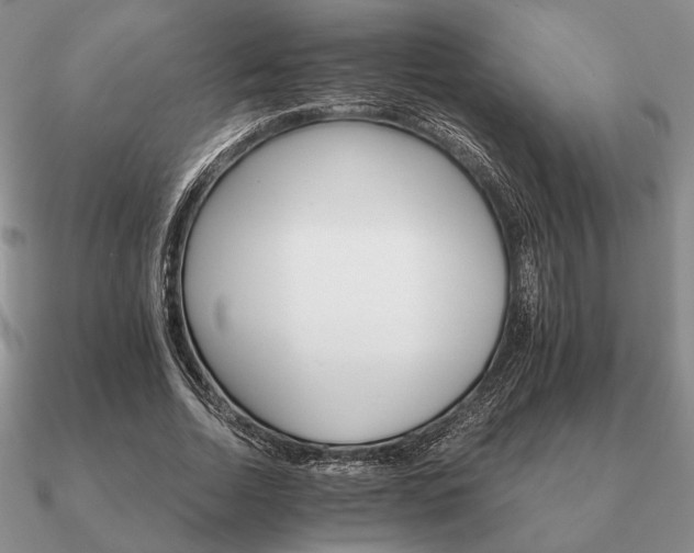 X0000090920730200708061542