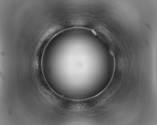 X0000090920731200708061542