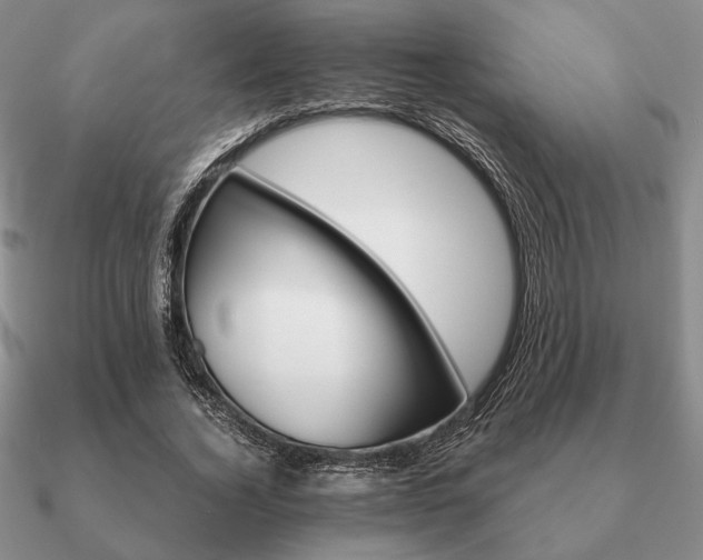 X0000090920732200708061542