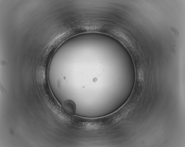 X0000090920733200708061542