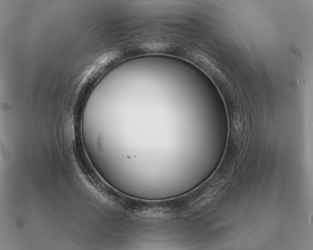 X0000090920734200708061542