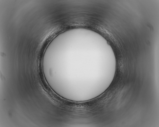 X0000090920735200708061542