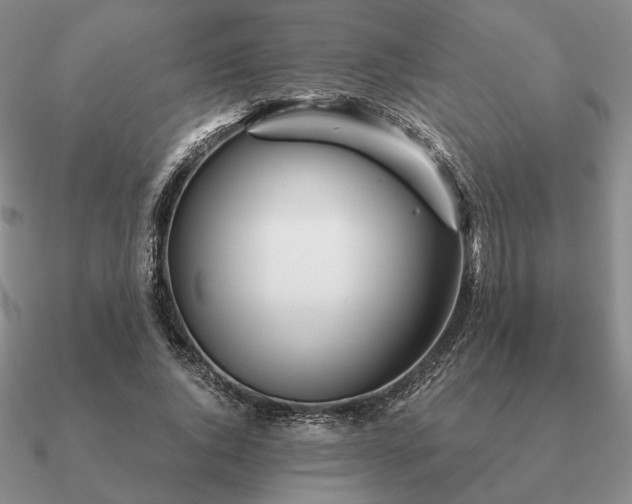 X0000090920736200708061542