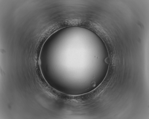 X0000090920737200708061542