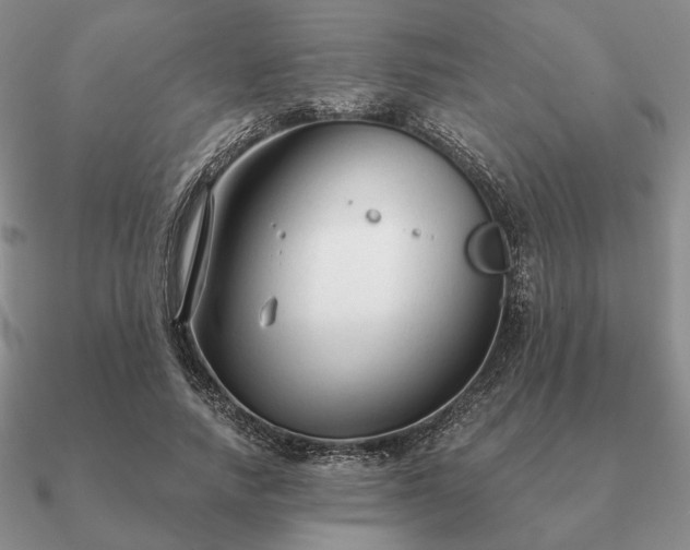 X0000090920738200708061542