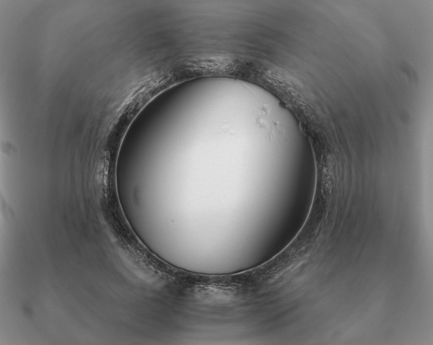 X0000090920739200708061542