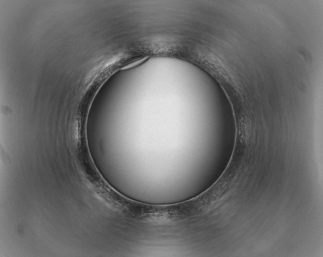 X0000090920740200708061542