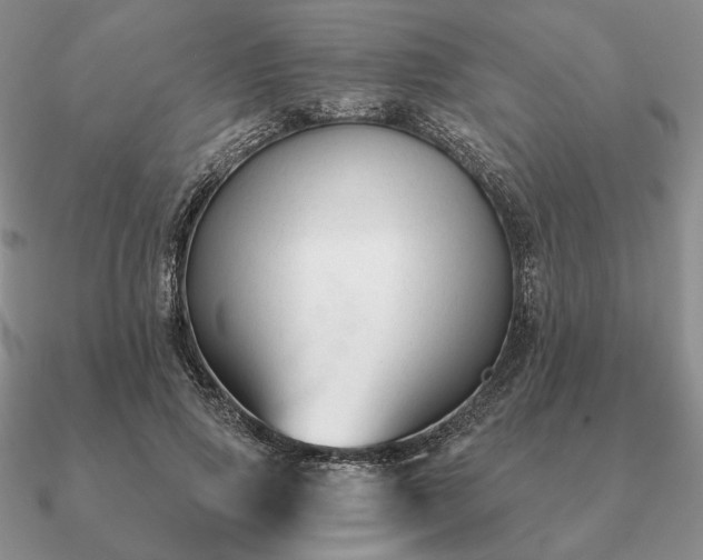 X0000090920741200708061542