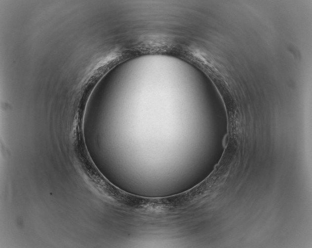 X0000090920742200708061542