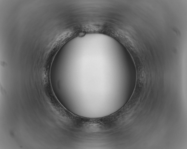 X0000090920743200708061542